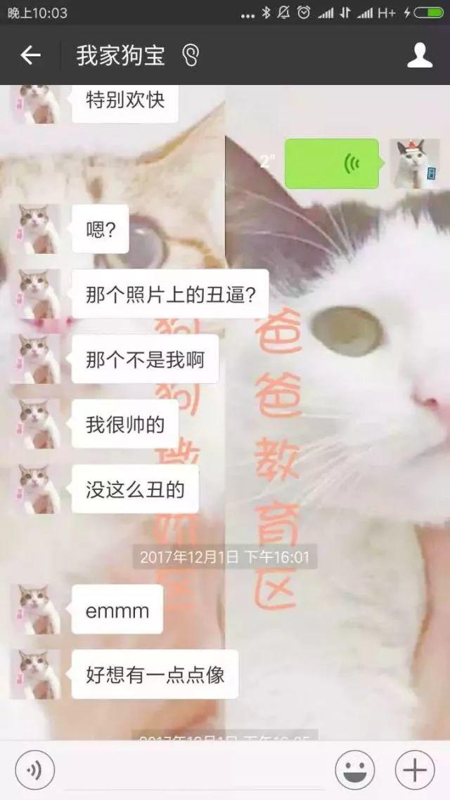 肆欢字母斯慕圈有个“小奶k9”男M是种怎样的体验？