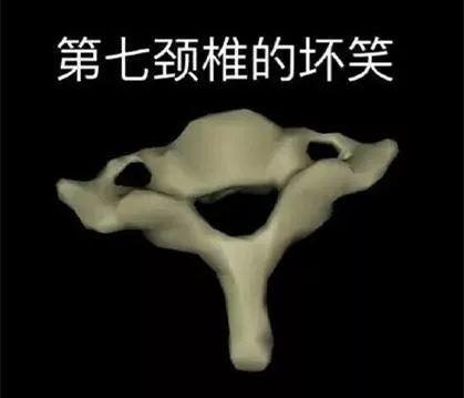 肆欢字母斯慕圈理工学霸都是怎么玩dom/sub的