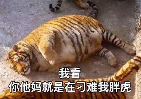肆欢字母斯慕圈第一次实践，大家都做过哪些丧心病狂的准备？
