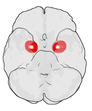 肆欢字母斯慕圈如果spank有另一个名字，我想会是“进化论在生物学中的亲吻”