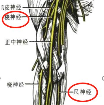 肆欢字母斯慕圈绳缚学习干货，零基础也能学会！奇怪的技艺又增加了！