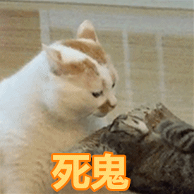 不会绳艺就只配做低端玩家???小白也能欲仙欲死的束缚指南来啦! 不会绳艺就只配做低端玩家???小白也能欲仙欲死的束缚指南来啦!