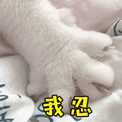 不会绳艺就只配做低端玩家???小白也能欲仙欲死的束缚指南来啦! 不会绳艺就只配做低端玩家???小白也能欲仙欲死的束缚指南来啦!