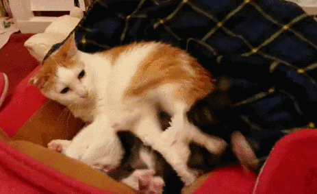 字母斯慕圈大型Dirty talk攻略:只言片语,就让ta心潮泛滥(干货预警) 字母斯慕圈大型Dirty talk攻略:只言片语,就让ta心潮泛滥(干货预警)