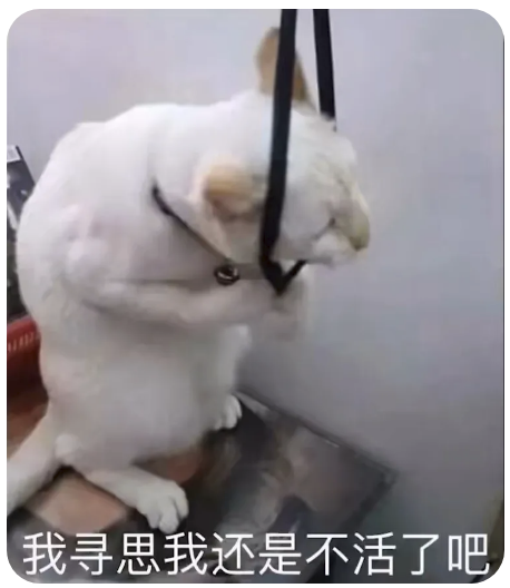 字母斯慕圈屈辱“虐心”小性癖:被伴侣绿了,我却爽得不行???? 字母斯慕圈屈辱“虐心”小性癖:被伴侣绿了,我却爽得不行????