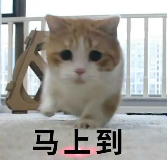 字母斯慕圈不懂就问,S惩罚M抄百家姓会被打吗哈哈哈哈哈? 字母斯慕圈不懂就问,S惩罚M抄百家姓会被打吗哈哈哈哈哈?