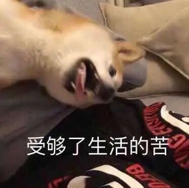 字母斯慕圈不懂就问,S惩罚M抄百家姓会被打吗哈哈哈哈哈? 字母斯慕圈不懂就问,S惩罚M抄百家姓会被打吗哈哈哈哈哈?