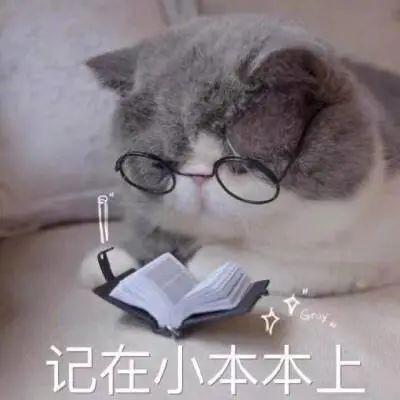 字母斯慕圈干货来了!走进spank中的伪娘——Sissy Maid 字母斯慕圈干货来了!走进spank中的伪娘——Sissy Maid