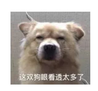 字母斯慕圈曾经梦想掰女友,刚一开口就失手 字母斯慕圈曾经梦想掰女友,刚一开口就失手