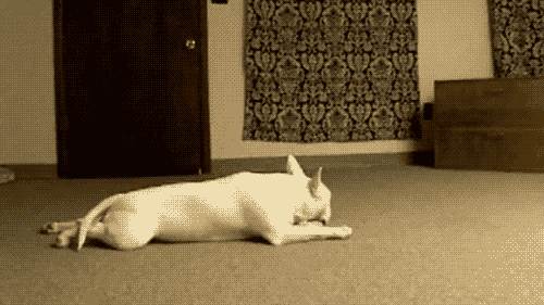 字母斯慕圈在spank里说说“爱” 字母斯慕圈在spank里说说“爱”