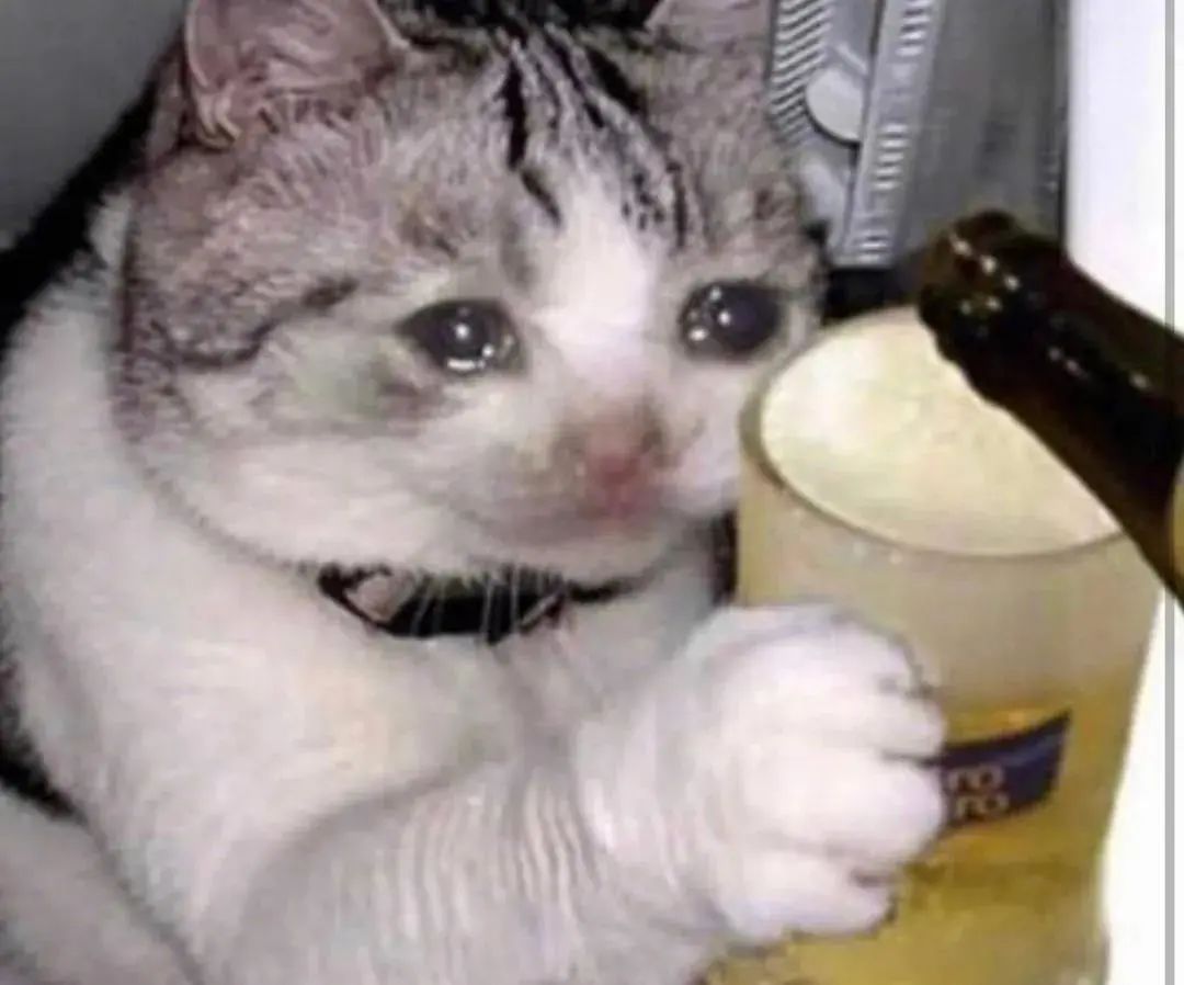 字母斯慕圈科普|我有想被主骂“低jian小辣鸡”的奇怪属性,越卑微却越过瘾?! 字母斯慕圈科普|我有想被主骂“低jian小辣鸡”的奇怪属性,越卑微却越过瘾?!