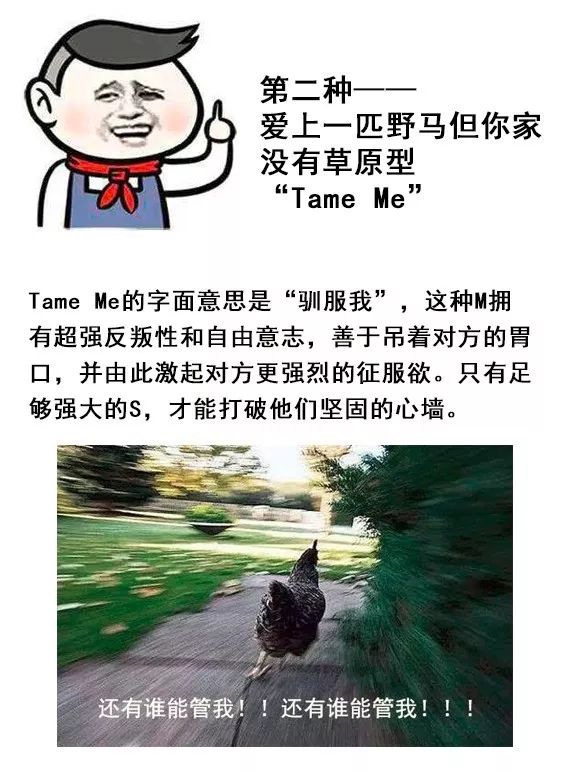 字母斯慕圈你了解ta是哪种M么？就找M找M找M