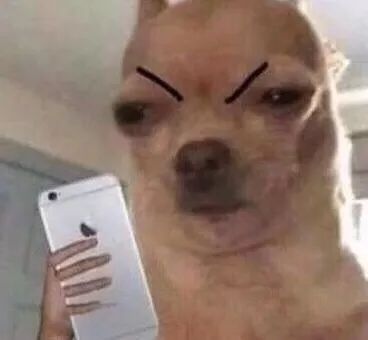 字母斯慕圈遇到哪些事,会让你分分钟想退圈? 字母斯慕圈遇到哪些事,会让你分分钟想退圈?