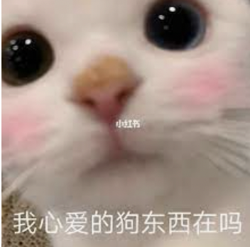 dom/sub字母斯慕圈DDLG dom/sub字母斯慕圈DDLG