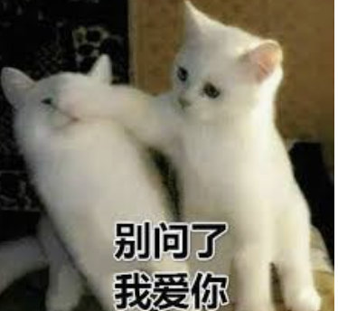 dom/sub字母斯慕圈DDLG dom/sub字母斯慕圈DDLG