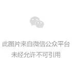 一只小猫的心动