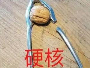 字母斯慕圈“硬 核 科 普”