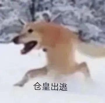 字母斯慕圈当“诡计多端”的圈内人开始在现实生活中借助“冲突”找乐子…… 字母斯慕圈当“诡计多端”的圈内人开始在现实生活中借助“冲突”找乐子……