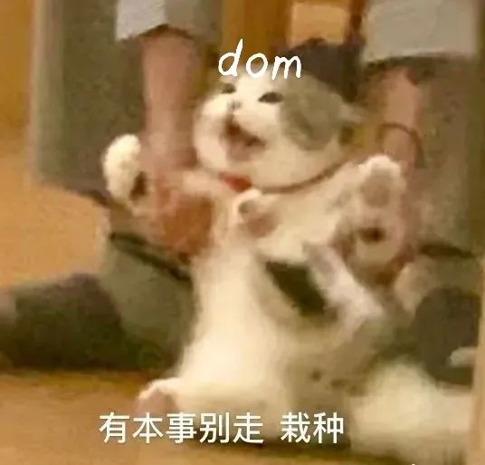 字母斯慕圈新手dom指南（二）——绝不会露怯的高能指南！