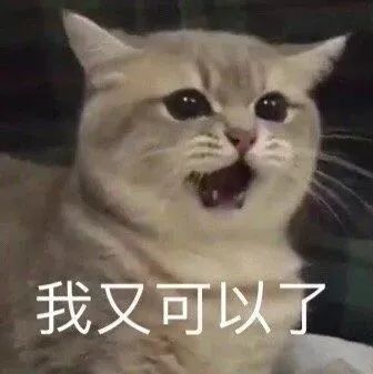 字母斯慕圈“谁不想拥有一个男/女友s/m!” 字母斯慕圈“谁不想拥有一个男/女友s/m!”