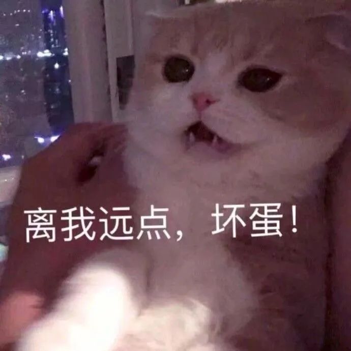 字母斯慕圈“谁不想拥有一个男/女友s/m!” 字母斯慕圈“谁不想拥有一个男/女友s/m!”