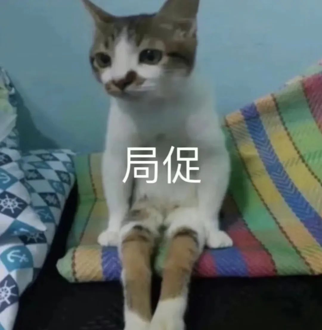 spank被打屁屁都没哭,没想到说个安全词却把我急哭 spank被打屁屁都没哭,没想到说个安全词却把我急哭