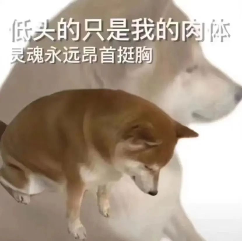 spank被打屁屁都没哭,没想到说个安全词却把我急哭 spank被打屁屁都没哭,没想到说个安全词却把我急哭