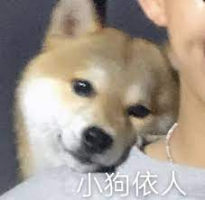 字母斯慕圈小狗最终还是“被抛弃”了 字母斯慕圈小狗最终还是“被抛弃”了