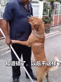 dom/sub找一个Dom来管教我,真的能考上清华吗? dom/sub找一个Dom来管教我,真的能考上清华吗?