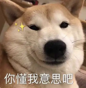 dom/sub疲软三天,“泰迪”M拉满了我的自责内耗 dom/sub疲软三天,“泰迪”M拉满了我的自责内耗