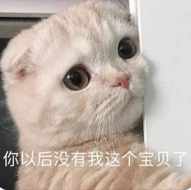 dom/sub疲软三天,“泰迪”M拉满了我的自责内耗 dom/sub疲软三天,“泰迪”M拉满了我的自责内耗