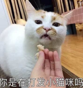 dom/sub疲软三天,“泰迪”M拉满了我的自责内耗 dom/sub疲软三天,“泰迪”M拉满了我的自责内耗