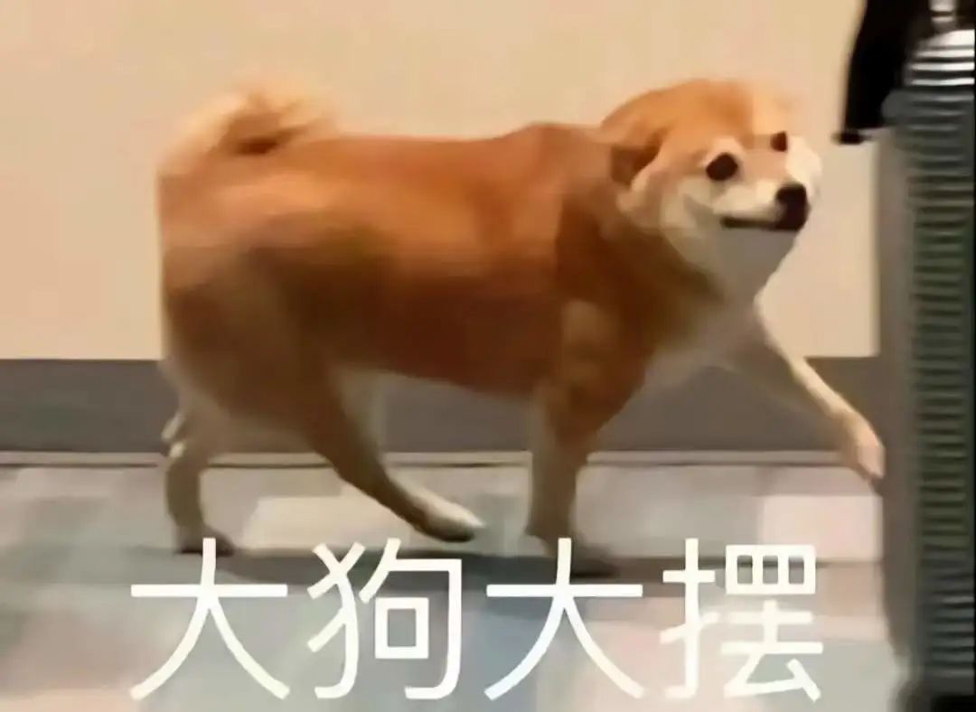 字母斯慕圈INTP的抖M永不为nu!!! 字母斯慕圈INTP的抖M永不为nu!!!