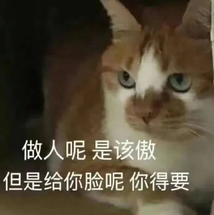 字母斯慕圈两攻相遇,必有一受;家有一brat,如有一爸 字母斯慕圈两攻相遇,必有一受;家有一brat,如有一爸