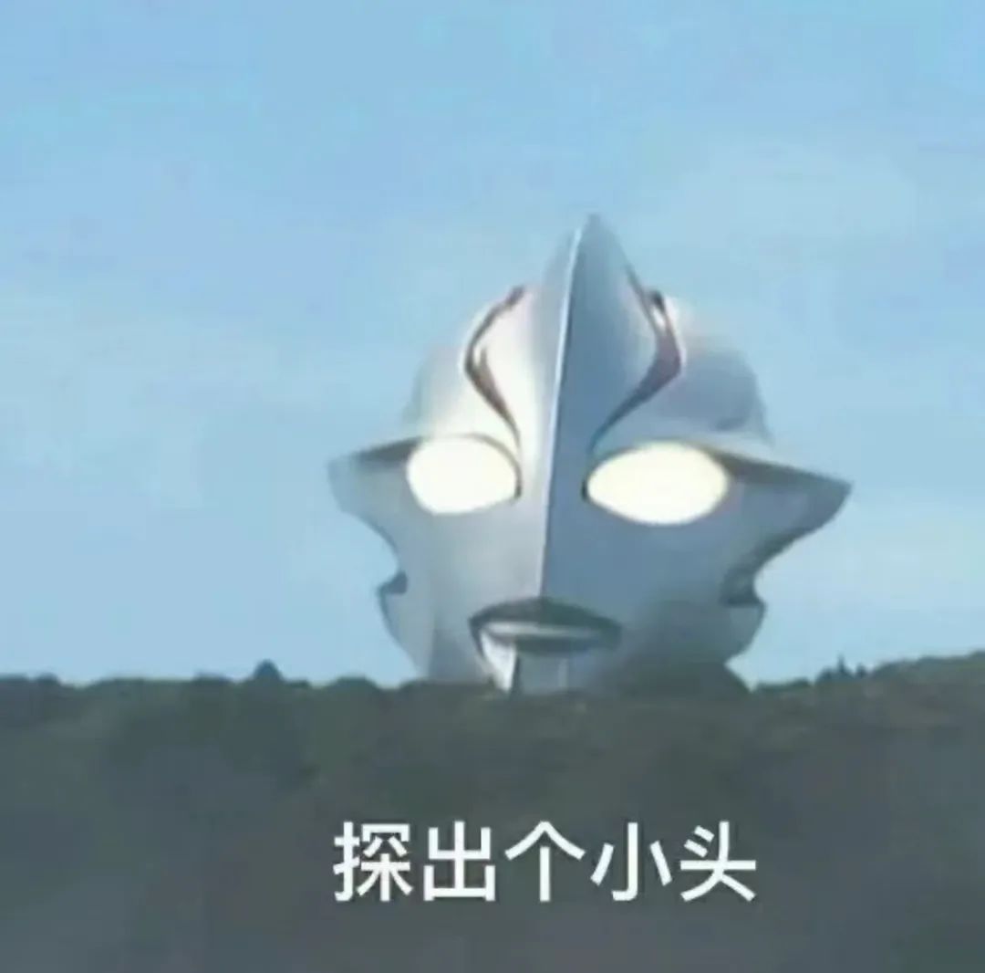 字母斯慕圈两攻相遇,必有一受;家有一brat,如有一爸 字母斯慕圈两攻相遇,必有一受;家有一brat,如有一爸