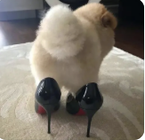 dom/sub“M是不必被打扮成妖艳X货的” dom/sub“M是不必被打扮成妖艳X货的”