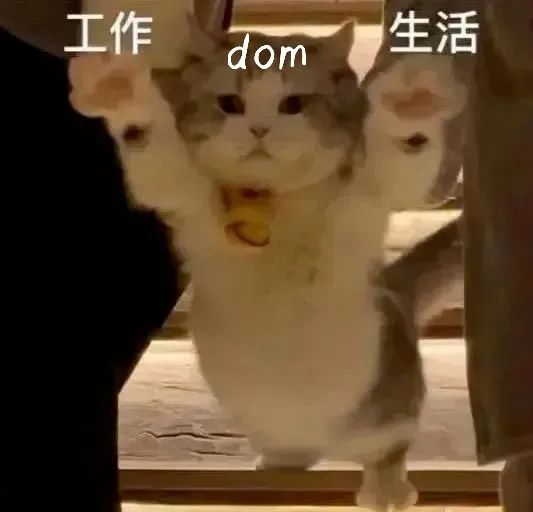字母斯慕圈“为什么做s以来,越来越感觉自己只是个工具人,快乐的都是臭m啊!!!” 字母斯慕圈“为什么做s以来,越来越感觉自己只是个工具人,快乐的都是臭m啊!!!”