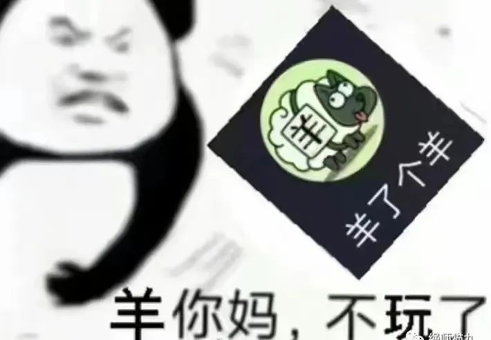 字母圈今天是被一只“羊”猛虐的一天