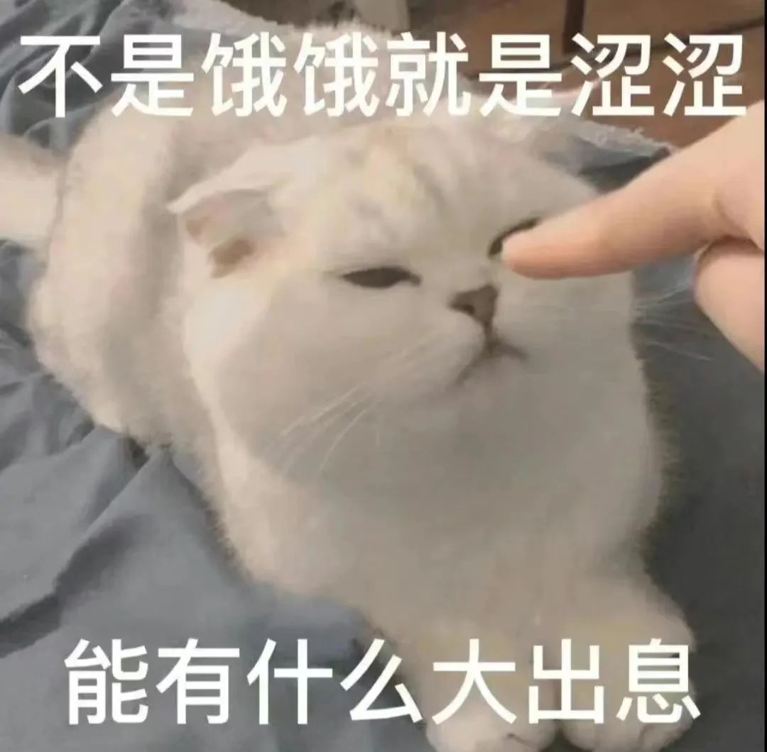 字母斯慕圈两攻相遇,必有一受;家有一brat,如有一爸 字母斯慕圈两攻相遇,必有一受;家有一brat,如有一爸