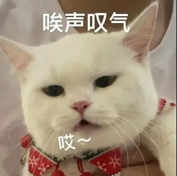 字母斯慕圈“为什么做s以来,越来越感觉自己只是个工具人,快乐的都是臭m啊!!!” 字母斯慕圈“为什么做s以来,越来越感觉自己只是个工具人,快乐的都是臭m啊!!!”