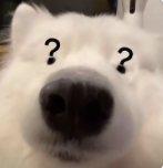 dom/sub“M是不必被打扮成妖艳X货的” dom/sub“M是不必被打扮成妖艳X货的”