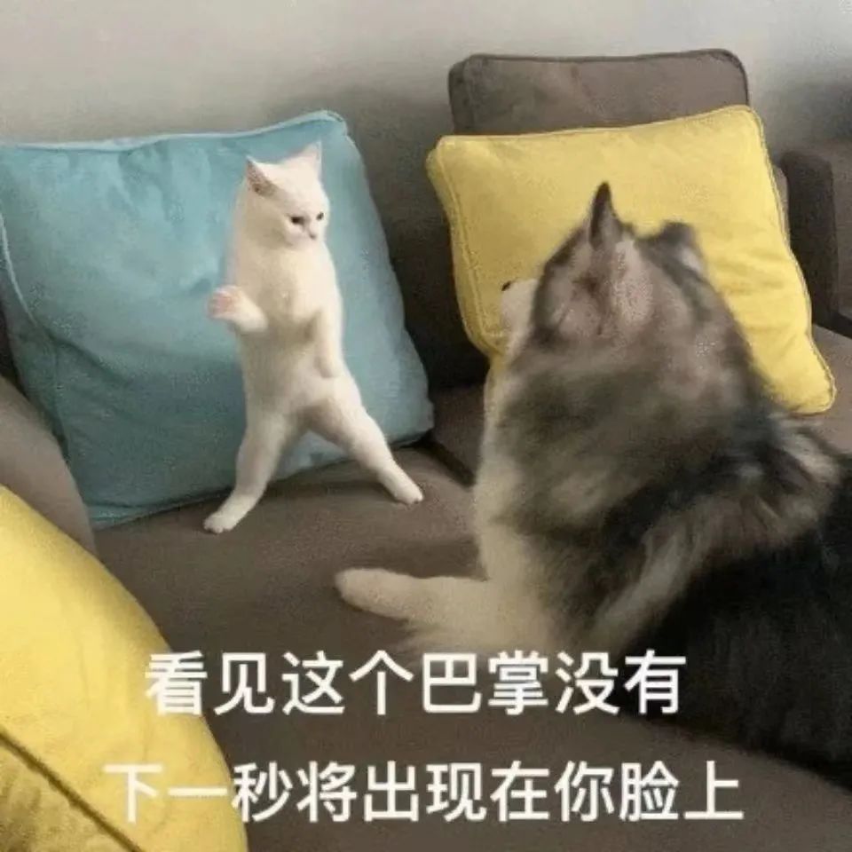 dom/sub你的M为什么越挨打越来劲(原因之一 dom/sub你的M为什么越挨打越来劲(原因之一