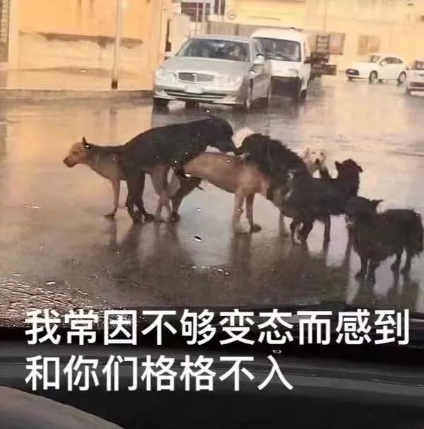 dom/sub你的M为什么越挨打越来劲(原因之一 dom/sub你的M为什么越挨打越来劲(原因之一