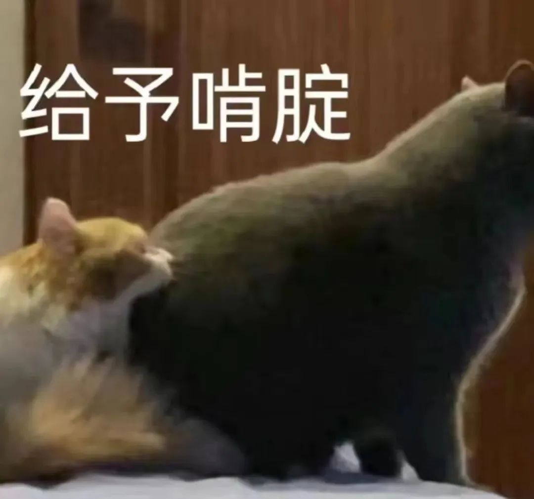 承认吧,好多时候就是没那么爽 承认吧,好多时候就是没那么爽