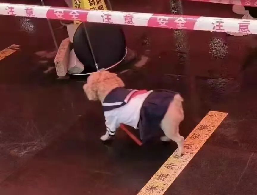 字母斯慕圈咱这圈子嘛~不疯魔,不整活( ̄︶ ̄) 字母斯慕圈咱这圈子嘛~不疯魔,不整活( ̄︶ ̄)
