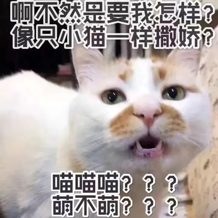 纳尼?!有人居然能把气球当作xp? 纳尼?!有人居然能把气球当作xp?