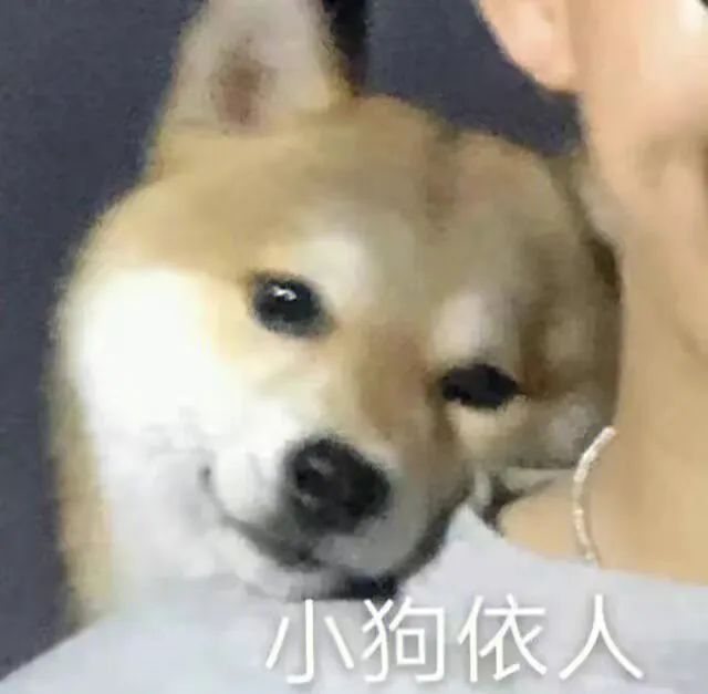 “找个dom谈恋爱”——ds恋爱 “找个dom谈恋爱”——ds恋爱