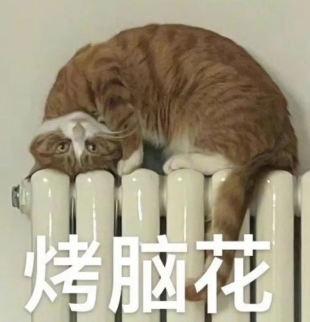 医生,是如何成为公认“梦中情S”的 医生,是如何成为公认“梦中情S”的