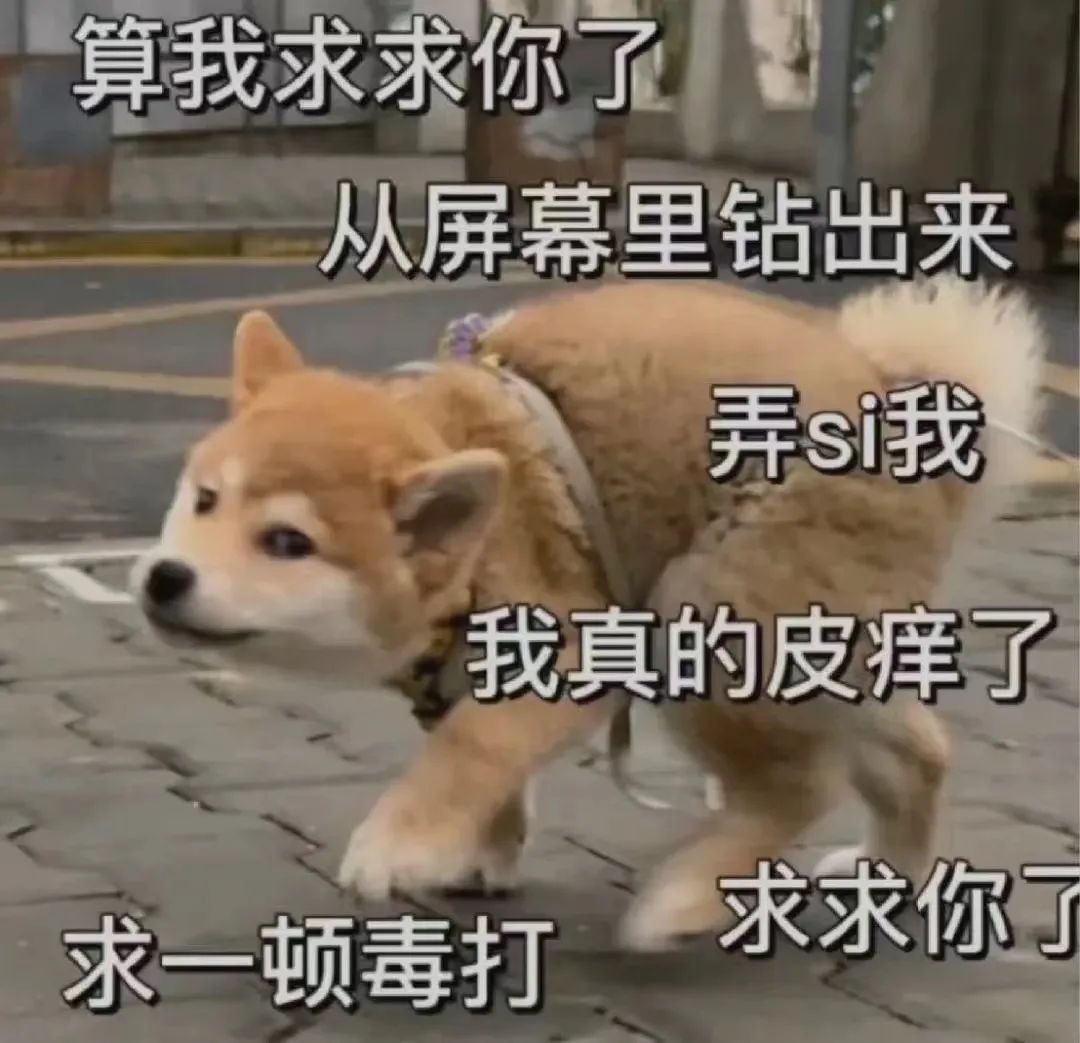 纳尼?!有人居然能把气球当作xp? 纳尼?!有人居然能把气球当作xp?