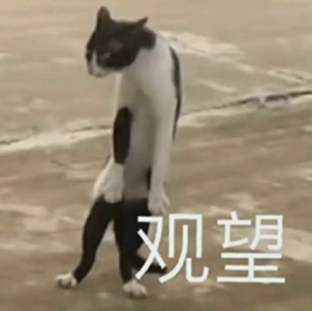 医生,是如何成为公认“梦中情S”的 医生,是如何成为公认“梦中情S”的